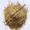 Hedgehog Fungus Powder